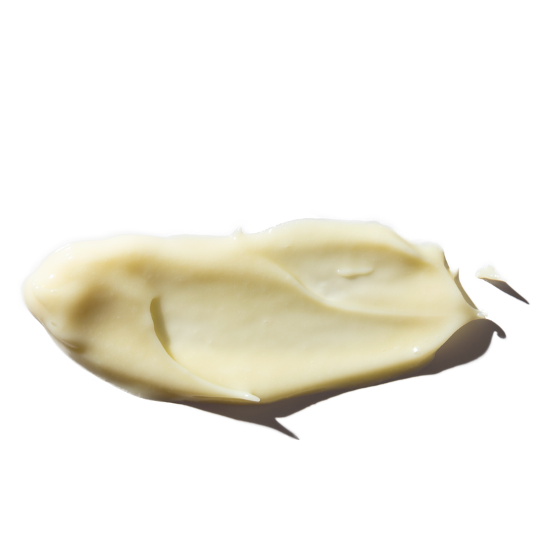 Odacite | Oleosomes Time Release Delivery Crème - 1.69 oz